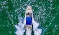2024 Hanover 305 White & Blue T-Top Edition