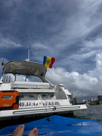2008 Regal 38 Express